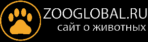 Zooglobal.ru - Город Санкт-Петербург zooglobal.png